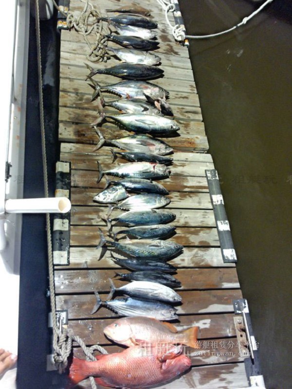 三亞海釣?zāi)康牡赝扑]，租艘釣魚(yú)艇去海釣吧！